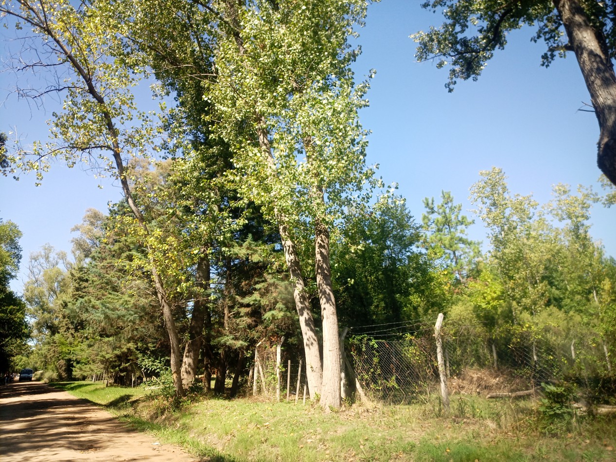 VENTA LOTE EN LA LONJA, PILAR