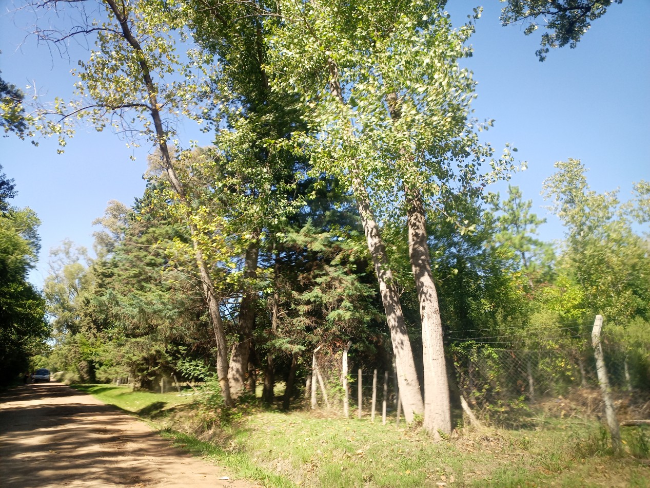 VENTA LOTE EN LA LONJA, PILAR