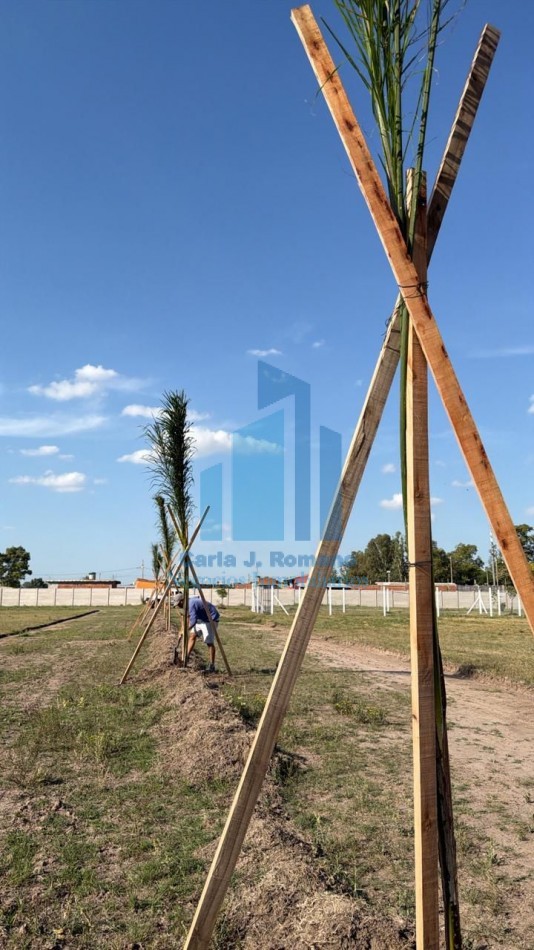 VENTA LOTE EN BARRIO CERRADO CACTUS, MARIANO ACOSTA MERLO
