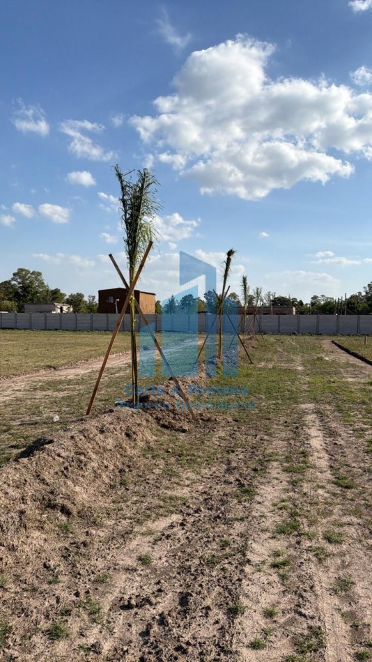 VENTA LOTE EN BARRIO CERRADO CACTUS, MARIANO ACOSTA MERLO