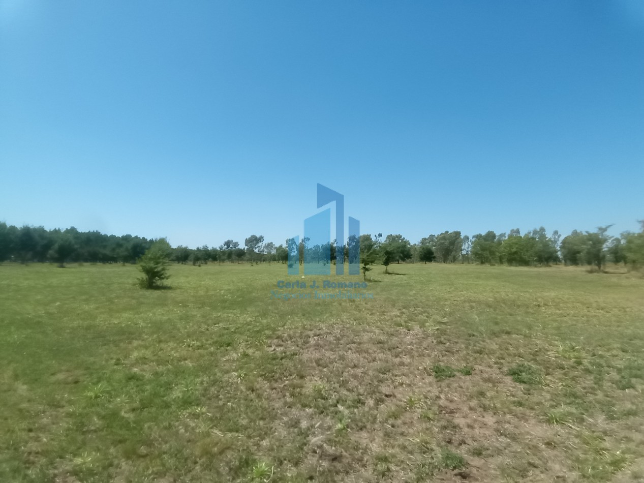 VENTA LOTE BARRIO CERRADO, MARCOS PAZ