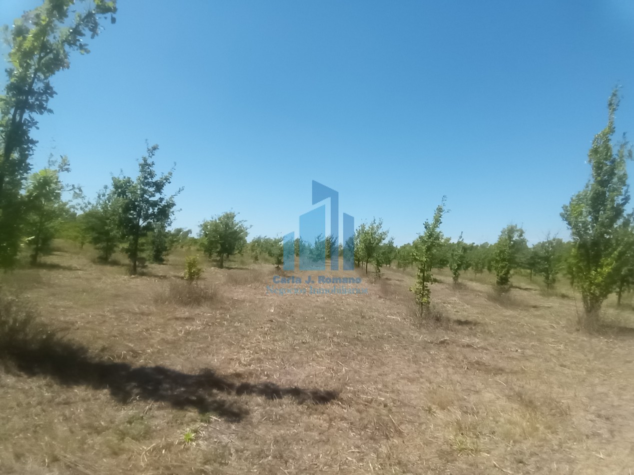 VENTA LOTE EN BARRIO CERRADO EN MARCOS PAZ