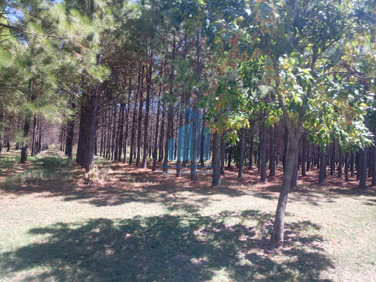 VENTA LOTE EN MARCOS PAZ