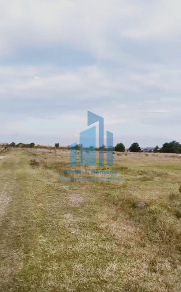 VENTA LOTE EN GENERAL RODRIGUEZ, BUENOS AIRES 