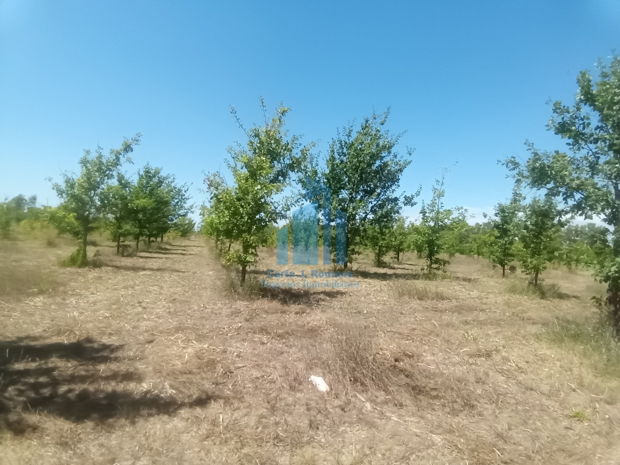 VENTA LOTE BARRIO CERRADO, MARCOS PAZ