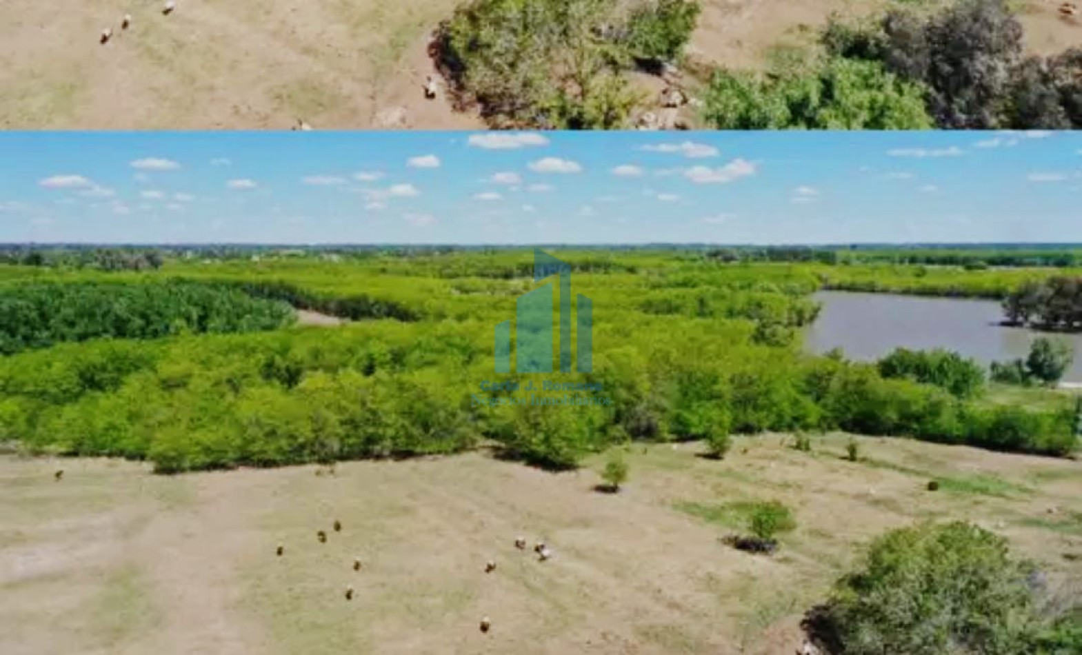 VENTA DE LOTE DE 10 HECTAREAS EN MANZANARES PILAR