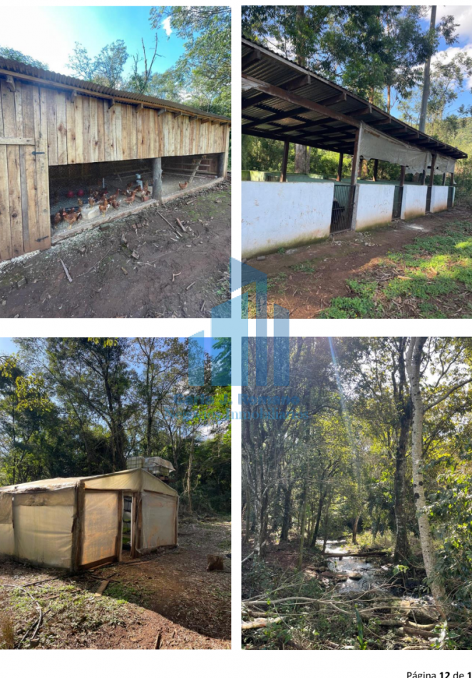 VENTA CHACRA 52 HECTAREAS EN EL DORADO MISIONES