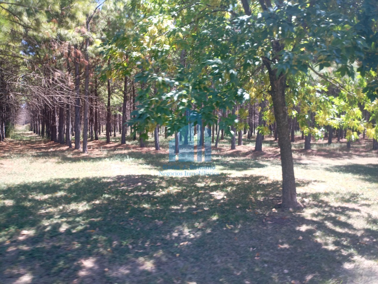 VENTA LOTE EN MARCOS PAZ