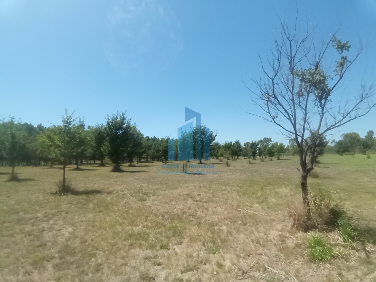 VENTA LOTE EN BARRIO CERRADO EN MARCOS PAZ