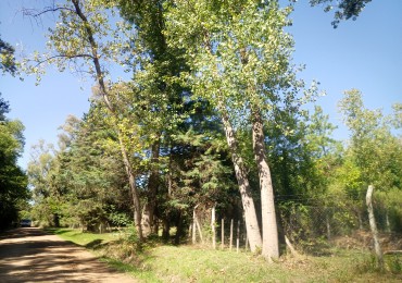 VENTA LOTE EN LA LONJA, PILAR