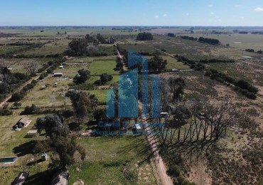 VENTA LOTE EN GENERAL RODRIGUEZ, BUENOS AIRES 