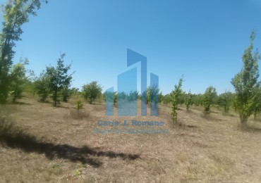 VENTA LOTE EN BARRIO CERRADO EN MARCOS PAZ