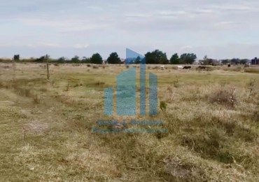 VENTA LOTE EN GENERAL RODRIGUEZ, BUENOS AIRES 