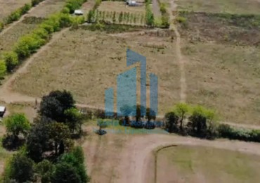 VENTA DE LOTE DE 10 HECTAREAS EN MANZANARES PILAR